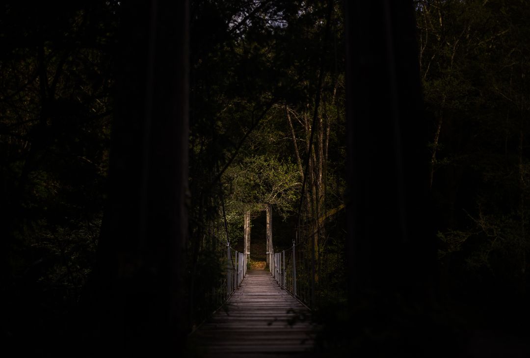 Rustic Wooden Bridge at Nighttime Surrounded by Forest Trees - Free Images, Stock Photos and Pictures on Pikwizard.com