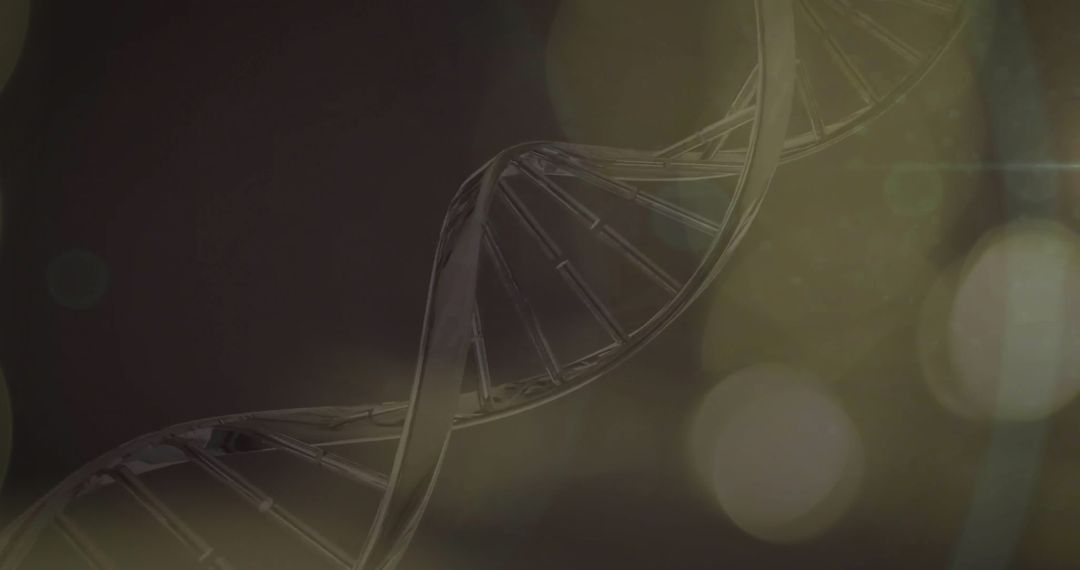 DNA Helix with Light Bokeh over Dark Background