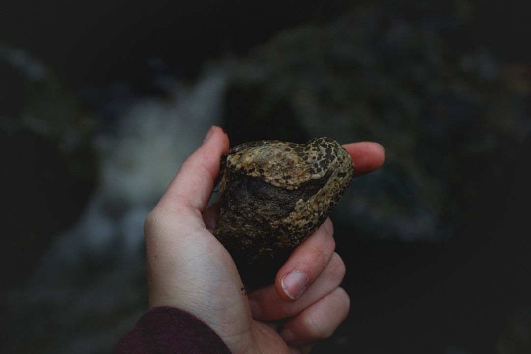Person Holding Heart-Shaped Rock Outdoors with Dark Background - Free Images, Stock Photos and Pictures on Pikwizard.com