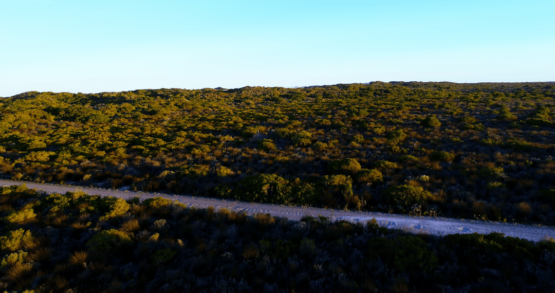Transparent Coastal Landscape with Dirt Path Under Clear Blue Sky