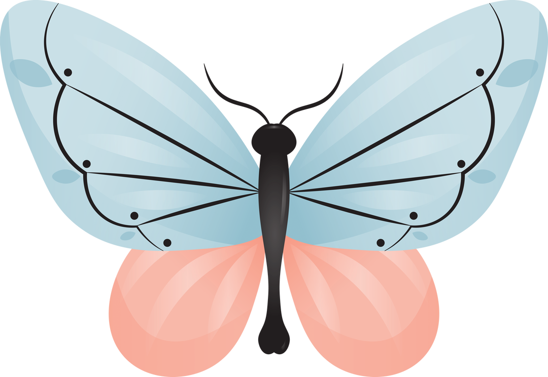 Blue Pink Butterfly Illustration on Transparent Background - Download Free Stock Images Pikwizard.com