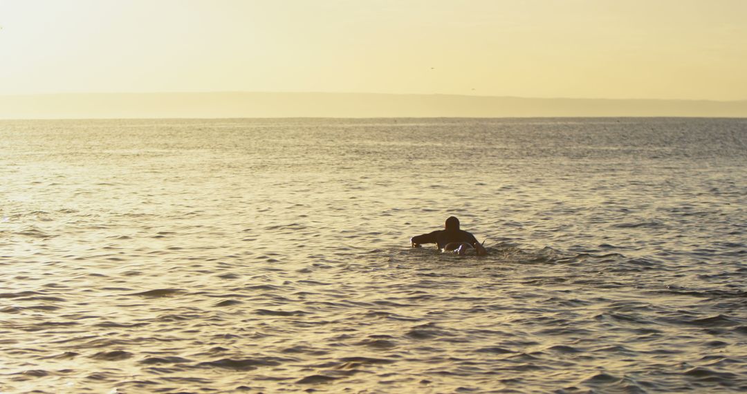 Surfer Paddling on Calm Ocean at Sunset - Free Images, Stock Photos and Pictures on Pikwizard.com