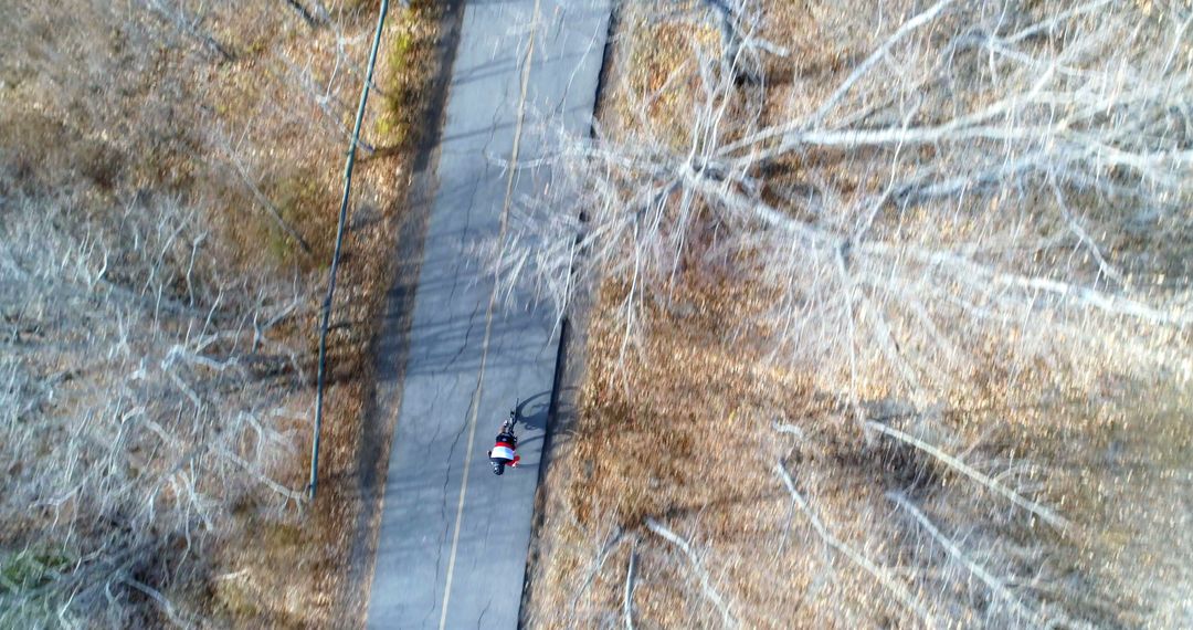 Aerial View of Cyclist on Road through Autumn Woods - Free Images, Stock Photos and Pictures on Pikwizard.com