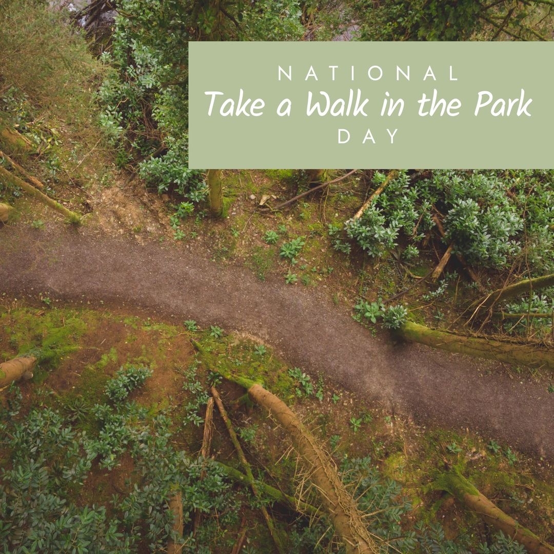 National Take A Walk In The Park Day Celebrated on Forest Path