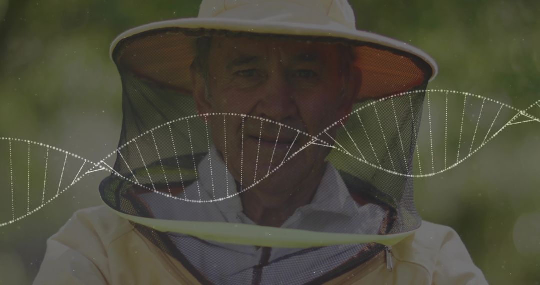 Senior Beekeeper Wearing Protective Veil with DNA Helix Overlay for Bee Genetics Study