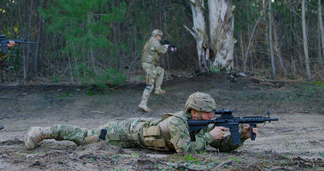 Soldiers Training in Forest with Weapons Ready at Hand - Free Images, Stock Photos and Pictures on Pikwizard.com