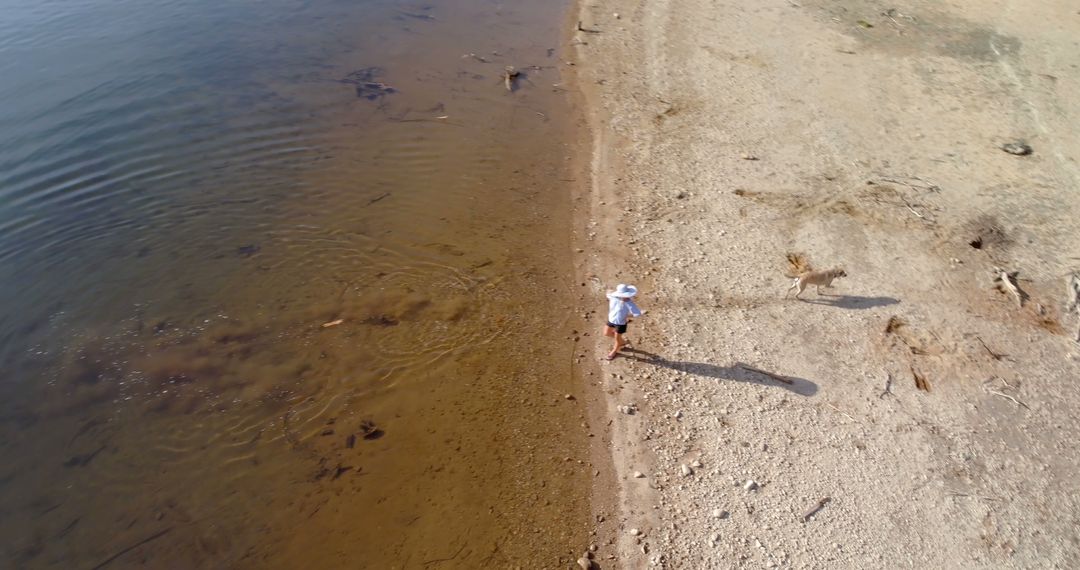 Aerial View of Beachgoer Walking Dog on Tranquil Lakeshore - Free Images, Stock Photos and Pictures on Pikwizard.com