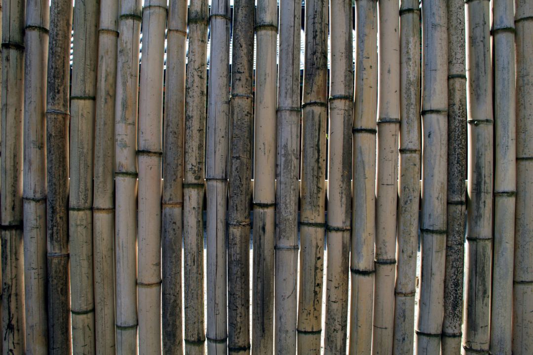 Bamboo bamboo wall fence wall - Free Images, Stock Photos and Pictures on Pikwizard.com