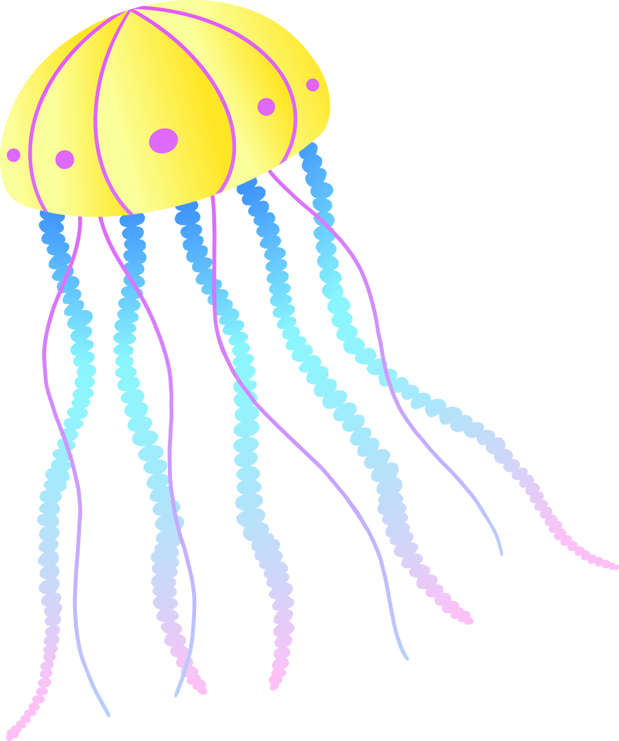 Colorful Jellyfish Vector with Transparent Background