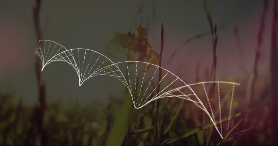 DNA Helix Over Natural Background with Grass in Wind