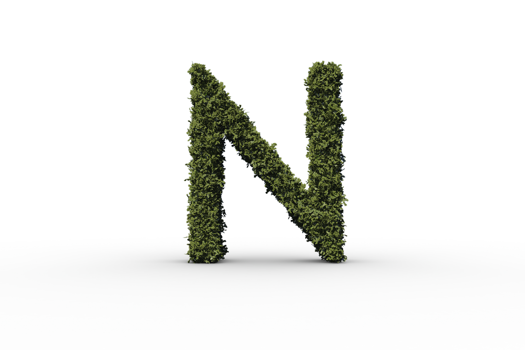 Green Leafy N Letter on Transparent Background - Download Free Stock Images Pikwizard.com