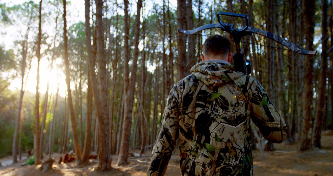 Man with Crossbow Walking Through Forest at Sunrise - Free Images, Stock Photos and Pictures on Pikwizard.com