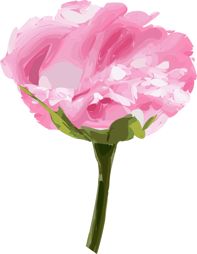 Elegant Pink Blossom Vector Art on Transparent Background