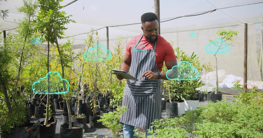 Monitoring nursery saplings with tablet and cloud data overlays for smart horticulture