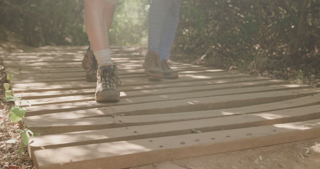 Close-up of Hikers Walking on Wooden Path in Forest - Free Images, Stock Photos and Pictures on Pikwizard.com