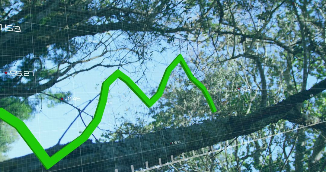 Financial Graph Overlay on Trees Reflecting Economic Growth