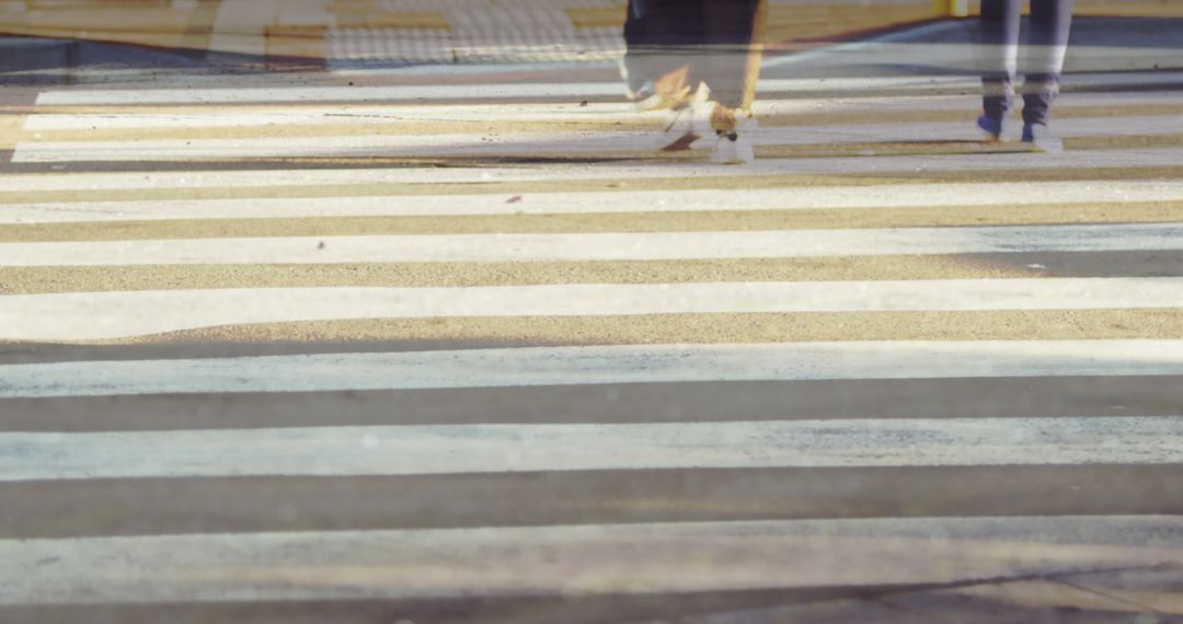 Commuters Moving Fast on City Zebra Crossing During Rush Hour
