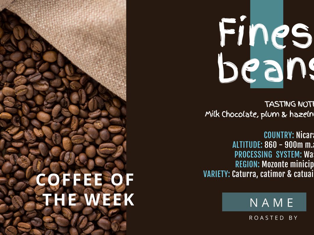 Premium Nicaraguan Roasted Coffee Bean Display