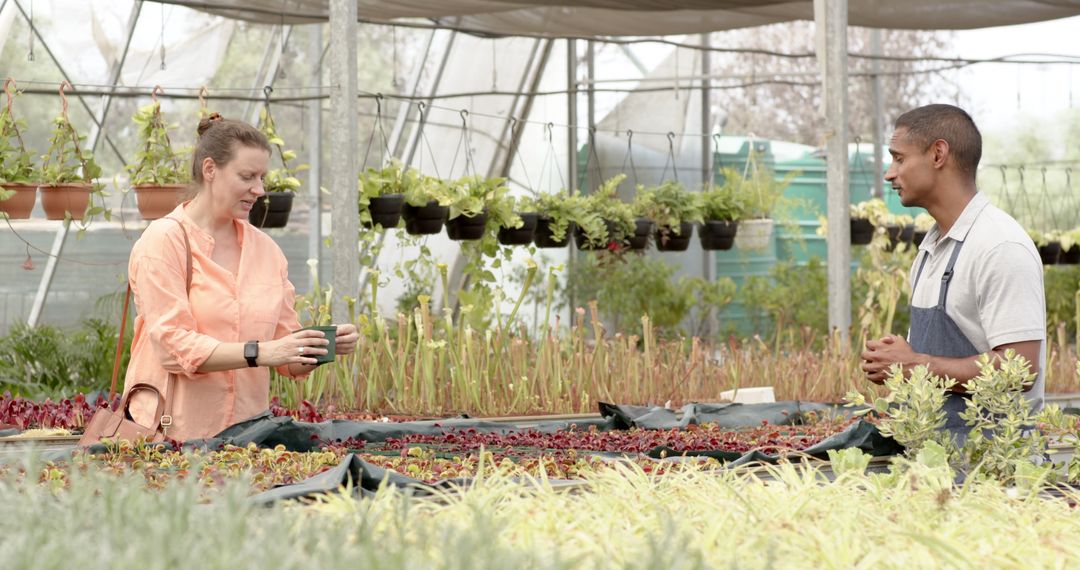 Customer Interacting with Nursery Worker in Greenhouse Atmosphere