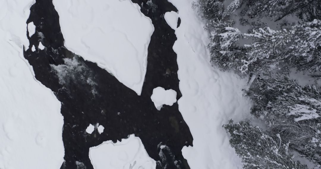 Aerial View of Snowy River Surrounded by Fir Trees in Winter - Free Images, Stock Photos and Pictures on Pikwizard.com