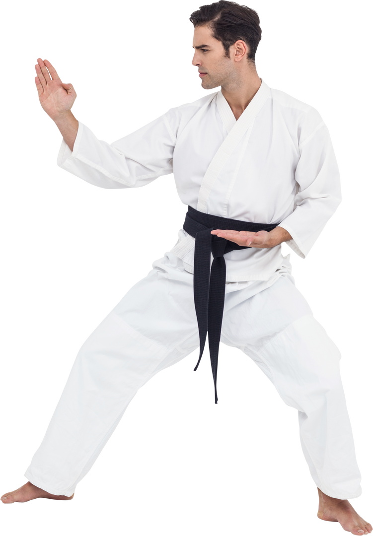 Martial Artist Practicing Karate in Transparent Background - Download Free Stock Images Pikwizard.com