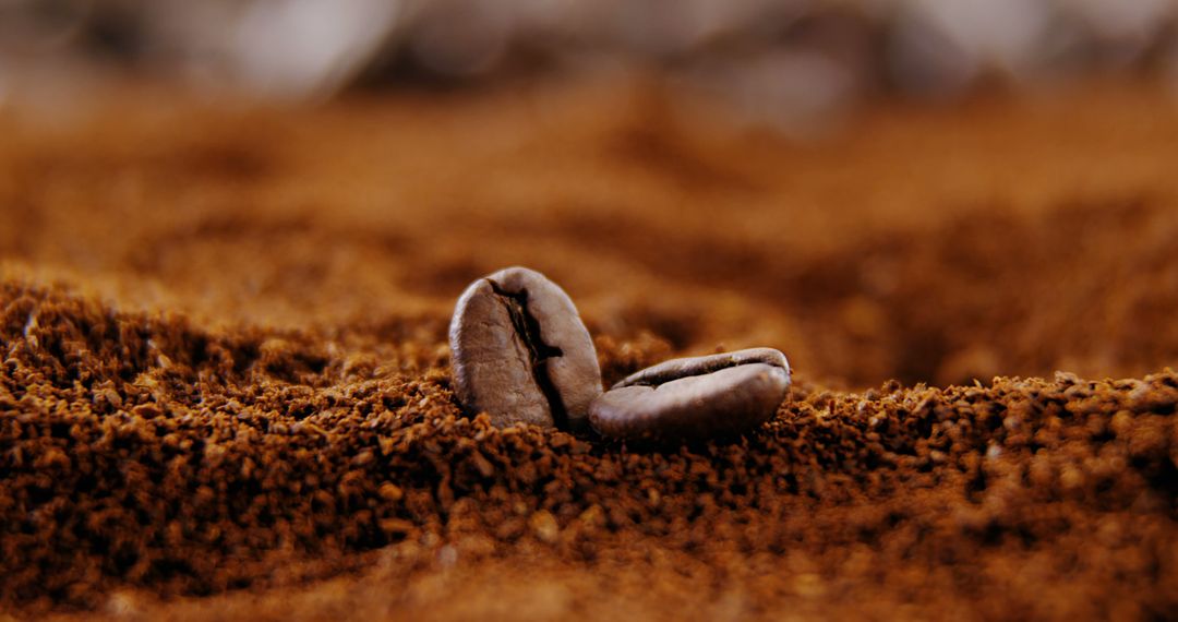 Macro Shot of Coffee Beans on Ground Coffee - Free Images, Stock Photos and Pictures on Pikwizard.com