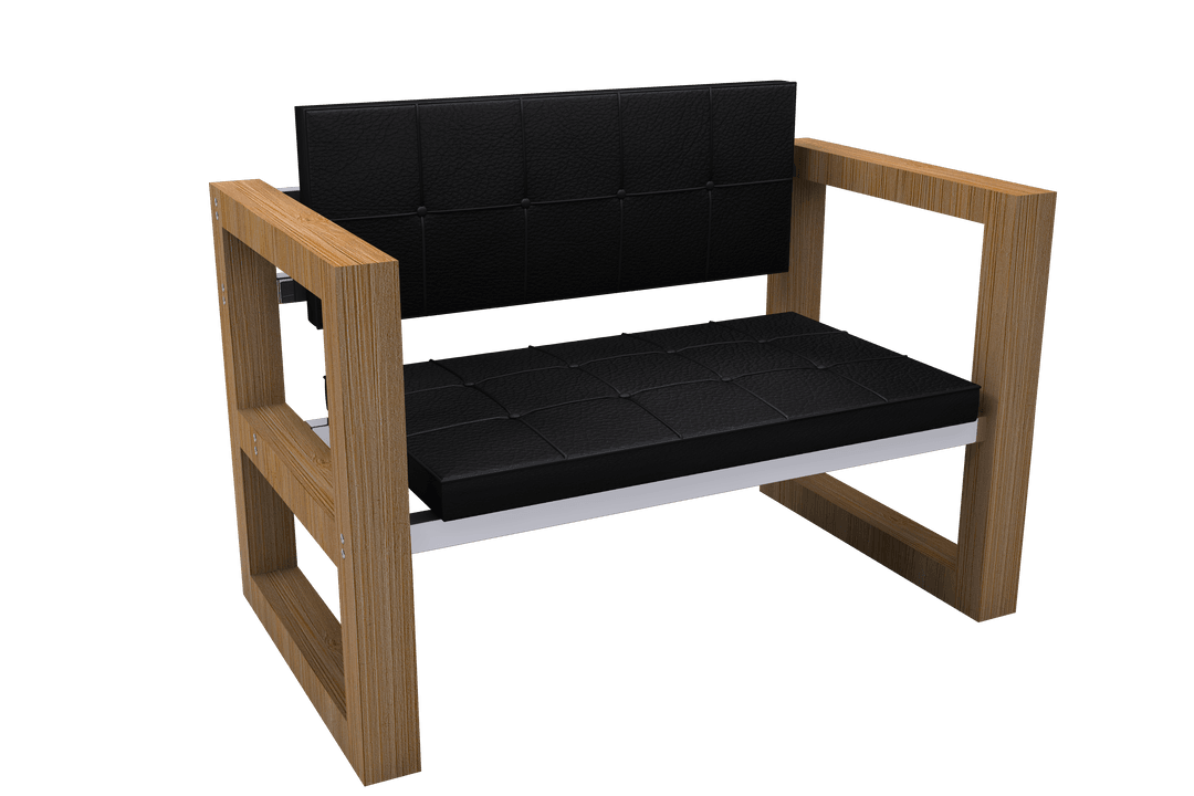 Modern Transparent Chair with Black Cushion and Wooden Frame