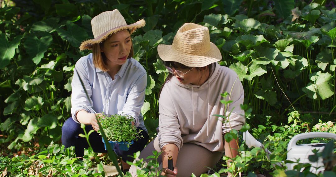 Two Women Gardening in Lush Greenery on Sunny Day - Free Images, Stock Photos and Pictures on Pikwizard.com