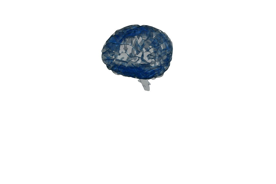 Navly Blue Human Brain Illustration on Transparent Background - Download Free Stock Images Pikwizard.com