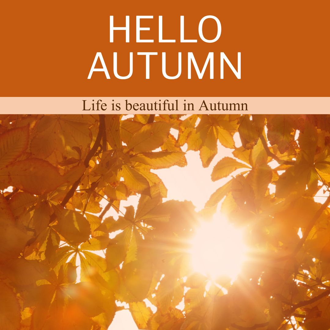 Golden Autumn Leaves with Sunlight and Text Overlay