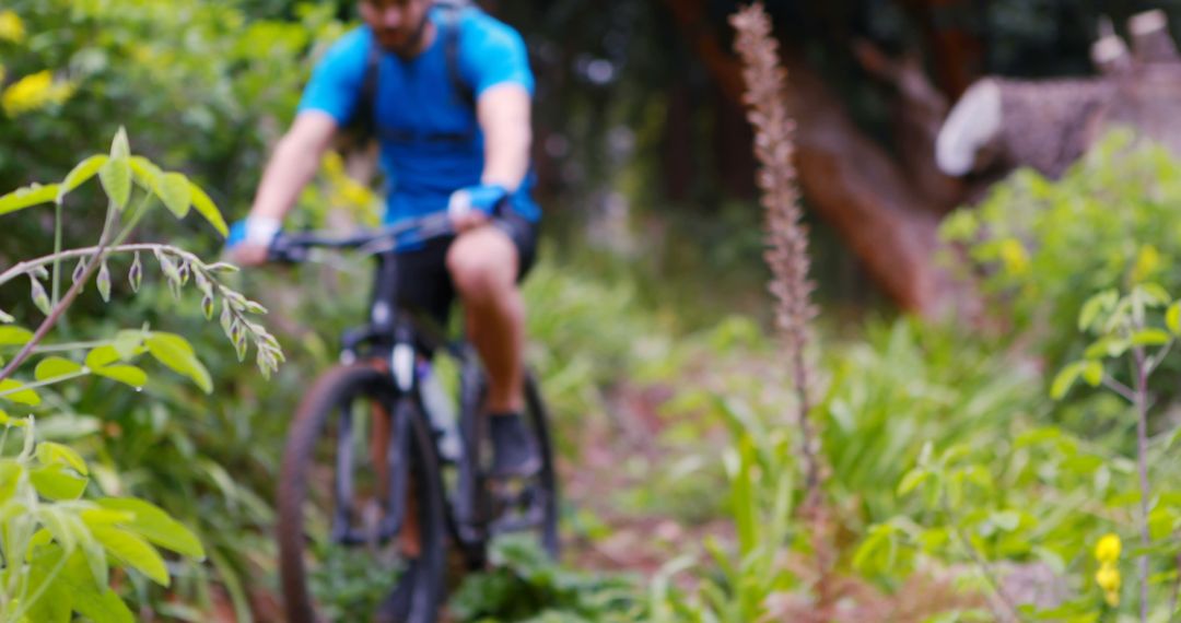 Mountain Biker Enjoying a Ride Through Lush Forest Trail - Free Images, Stock Photos and Pictures on Pikwizard.com