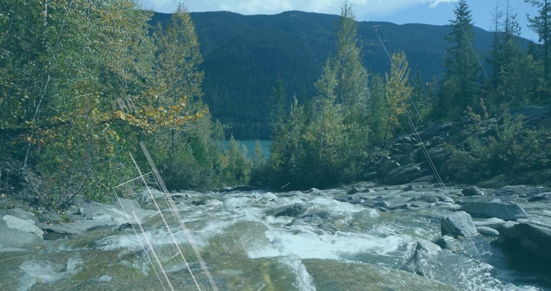 Mountain Stream with Cascading Whitewater Rapids