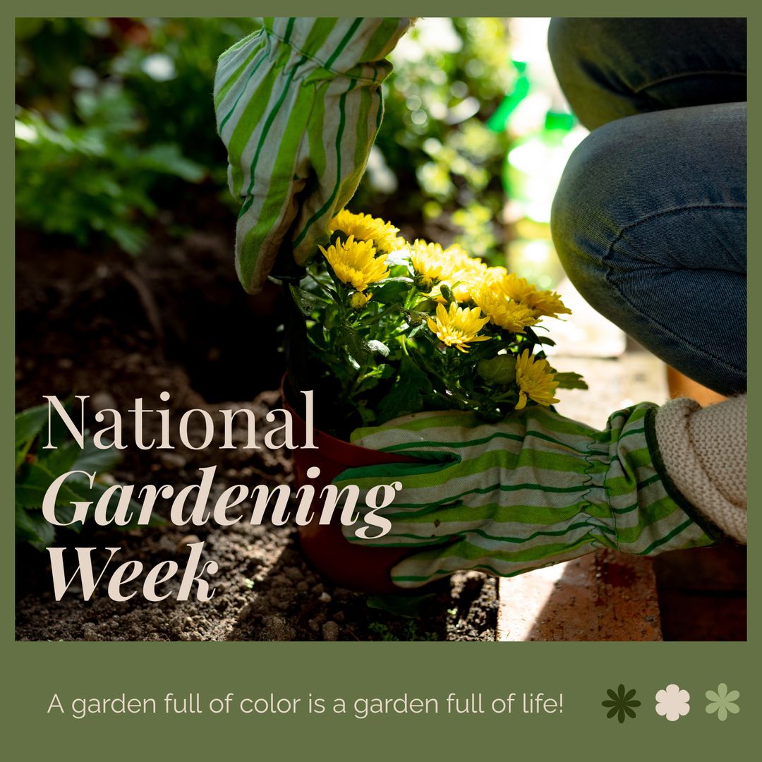 Celebrating National Gardening Week with Colorful Blossoms