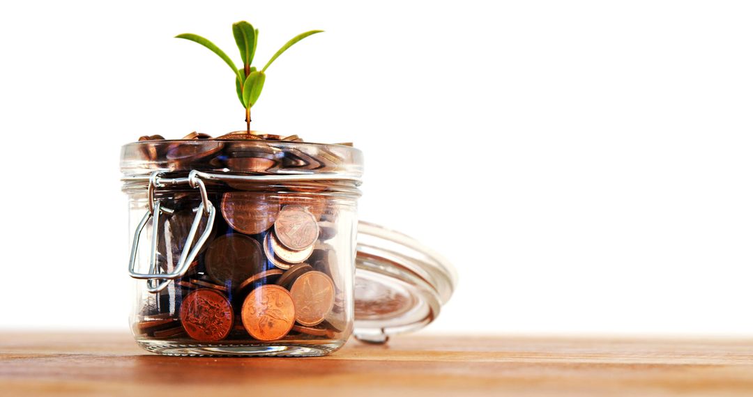 A jar of coins with a sprouting plant symbolizes nurturing financial growth for future wealth. - Free Images, Stock Photos and Pictures on Pikwizard.com
