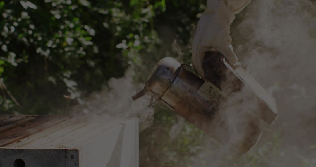 Beekeeper Using Smoker Over Hive Box in Summer Garden