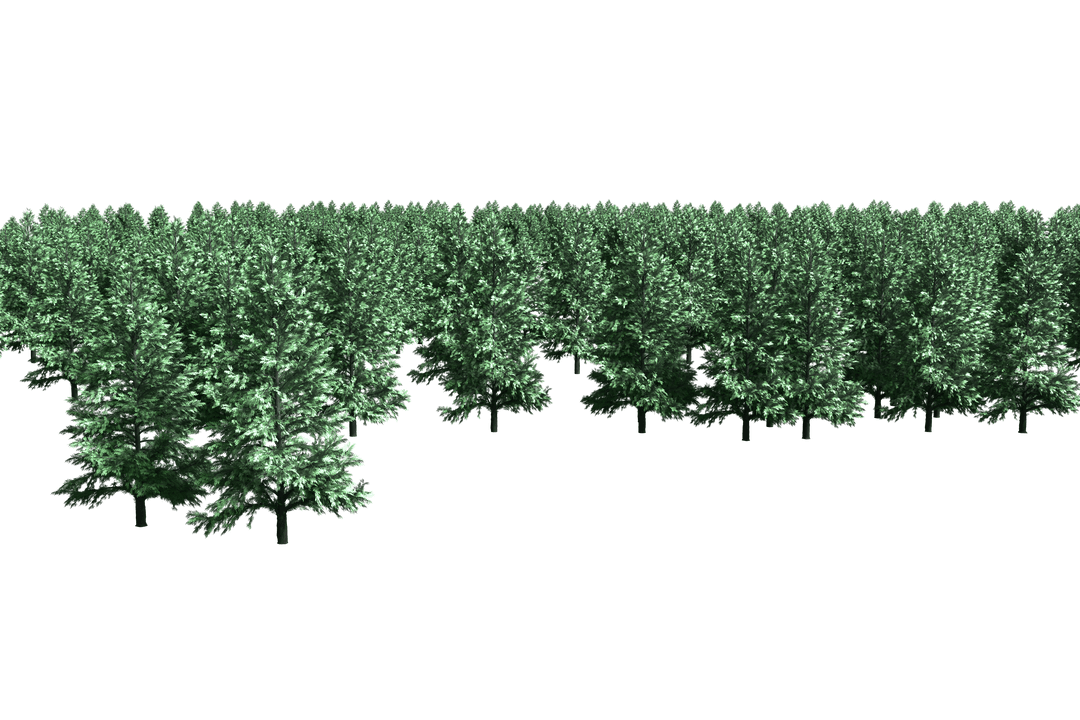 Transparent Lush Green Forest Foliage and Trees