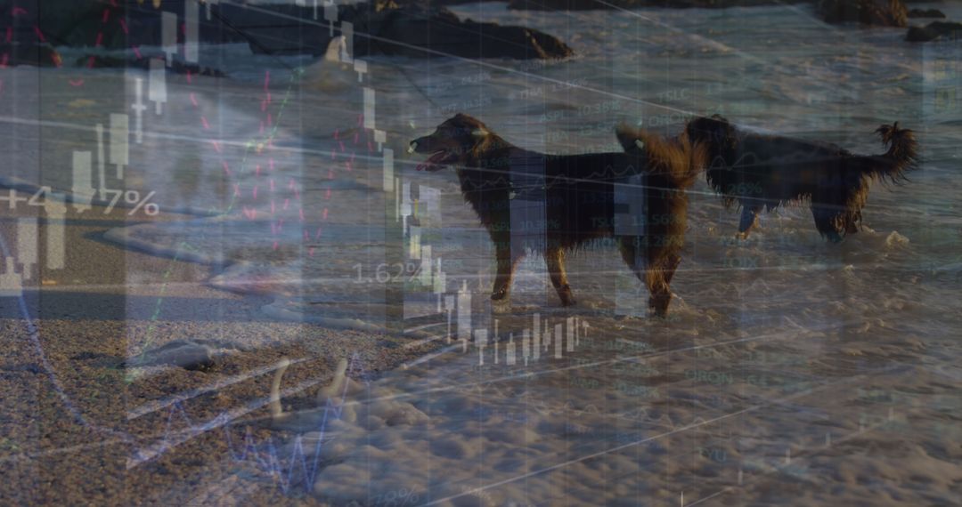 Dogs on Beach with Digital Finance Overlay Concepts