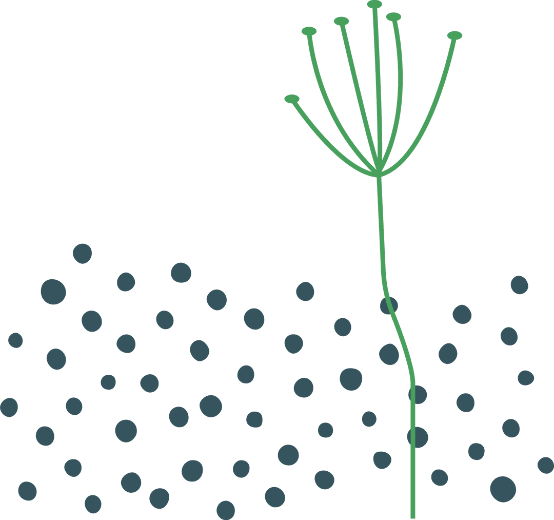 Elegant Minimalist Plant Design on Transparent Background