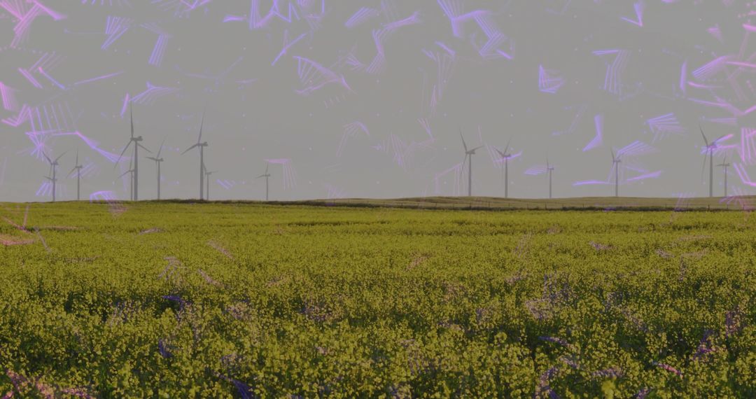 Wind Farm on Green Field with Yellow Flowers under Overcast Sky