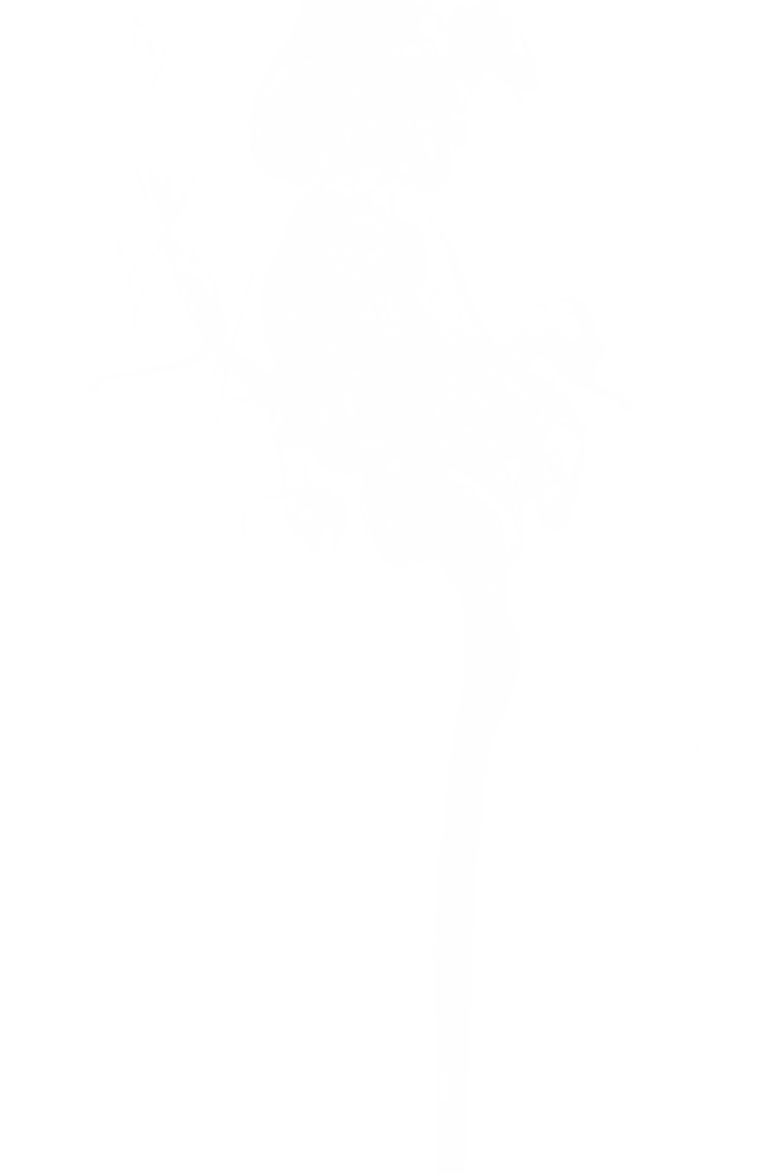 Abstract Smoke Trail on Transparent Background for Unique Designs