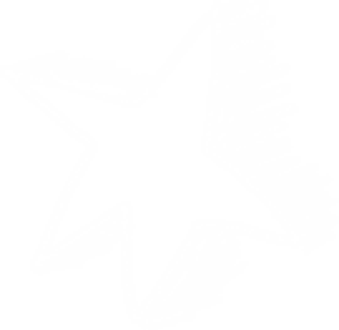 White Star Sketch with Transparent Background for Creative Designs