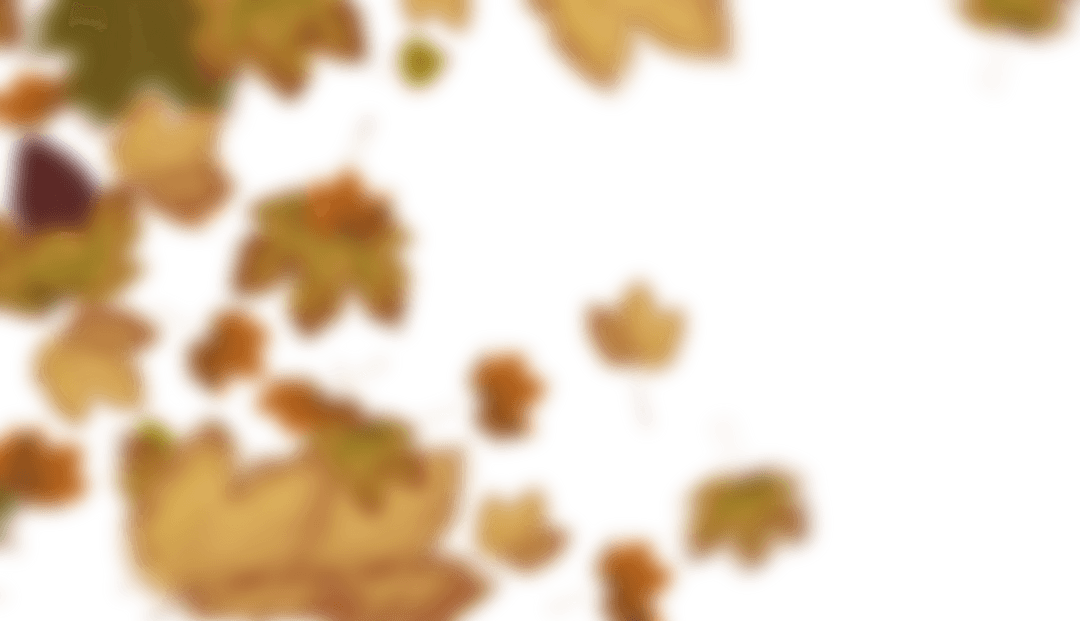 Autumn Maple Leaves Against Transparent Background Bathed in Warm Glow