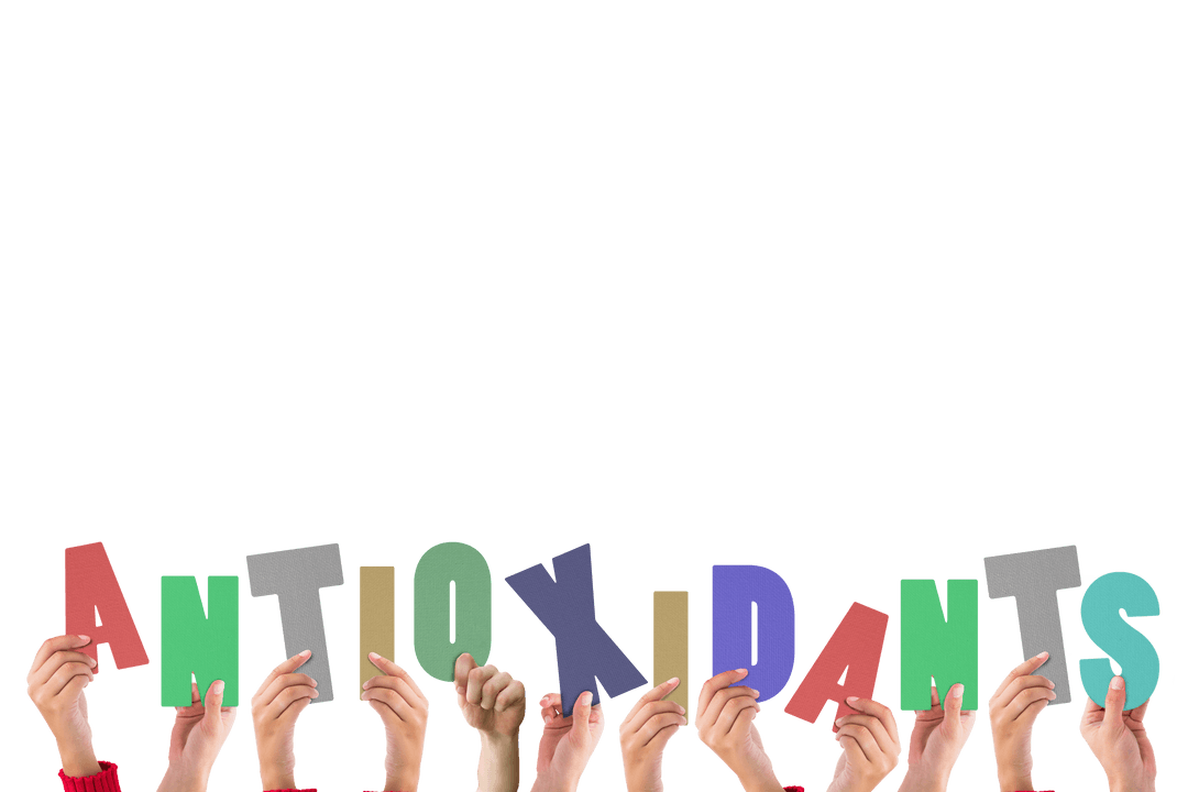 Hands Holding Antioxidants Text Transparent Background