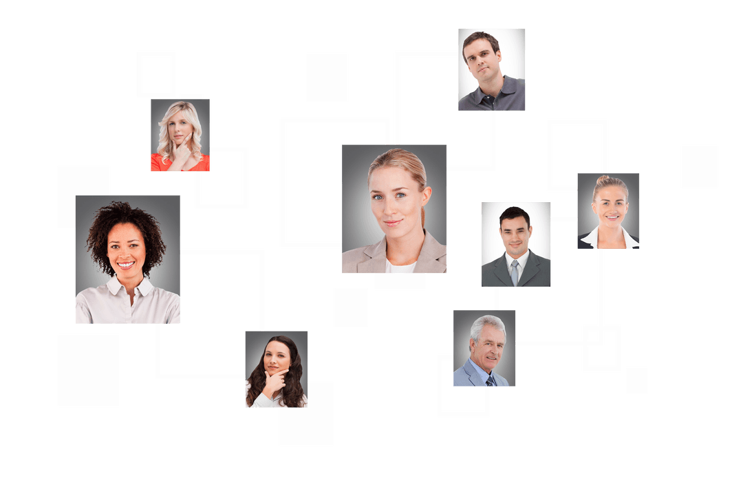 Transparent Network of Diverse Business Professional Profiles