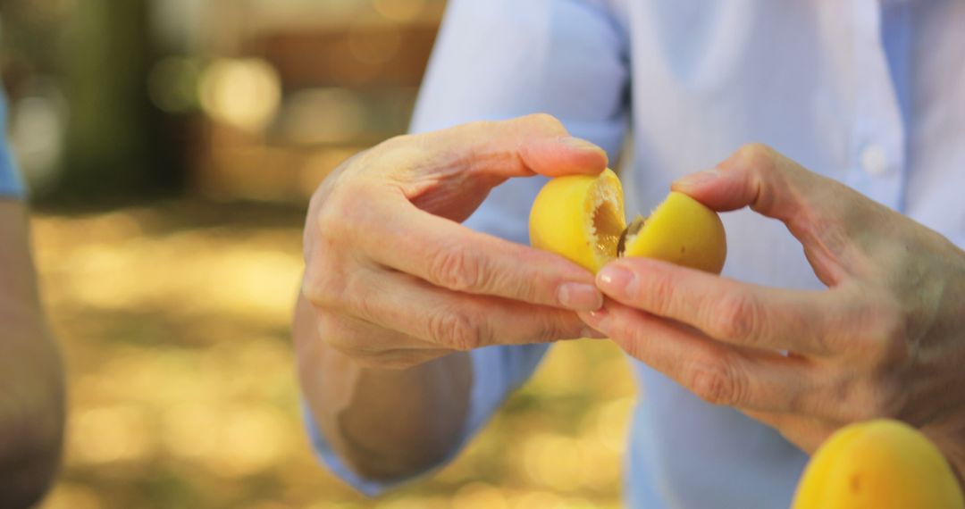 Senior Person Peeling Fresh Yellow Plum in Garden - Free Images, Stock Photos and Pictures on Pikwizard.com