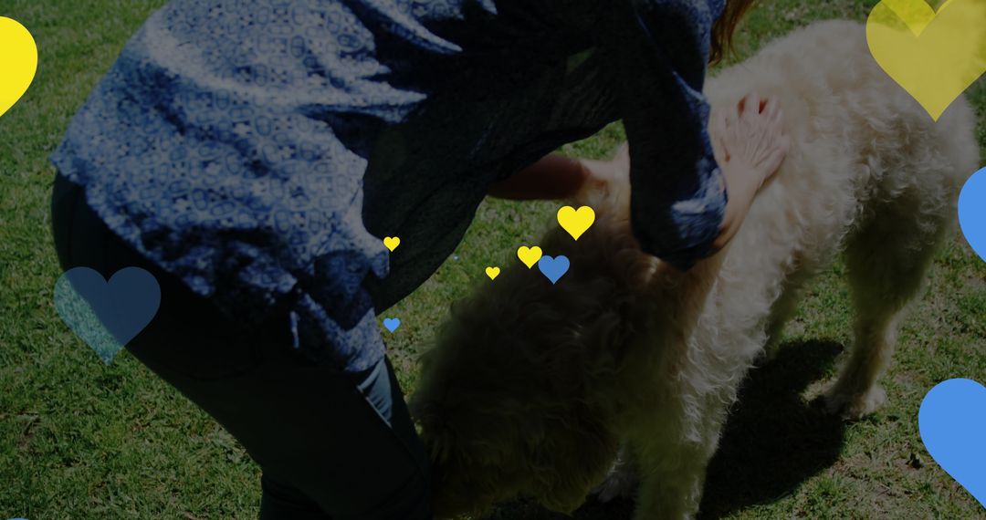 Caring Interaction with Fluffy Dog in Sunny Yard