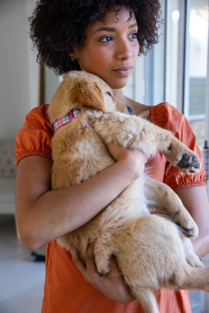 Woman Embracing Playful Golden Retriever Puppy at Home