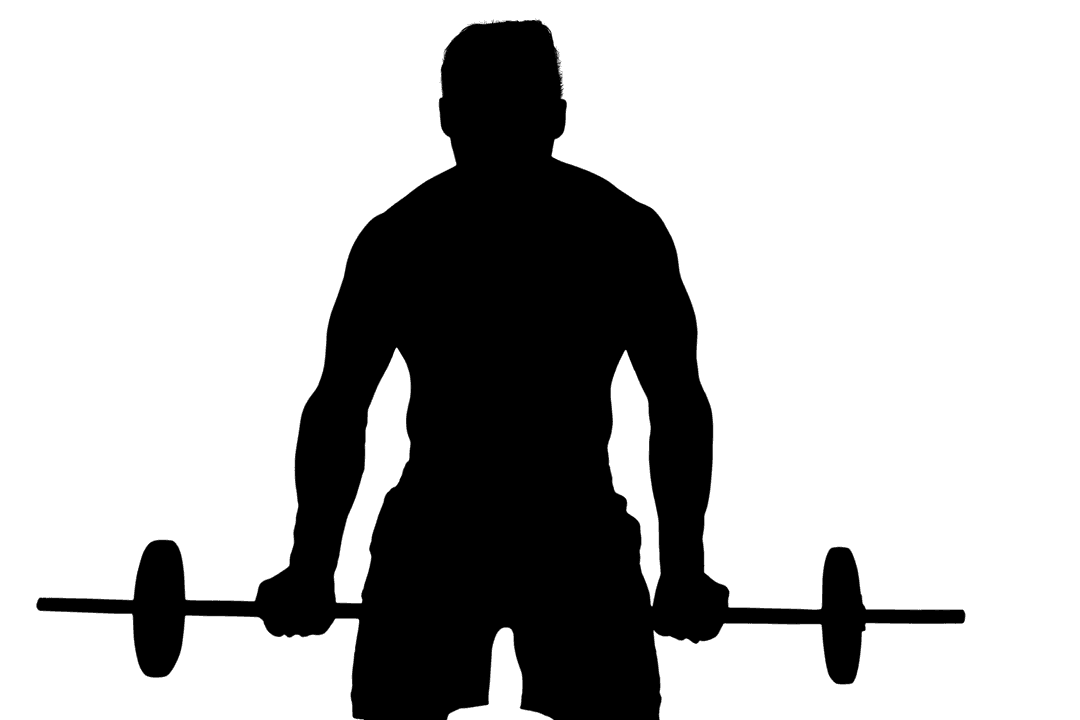 Silhouette Man Lifting Barbell Transparent Exercise