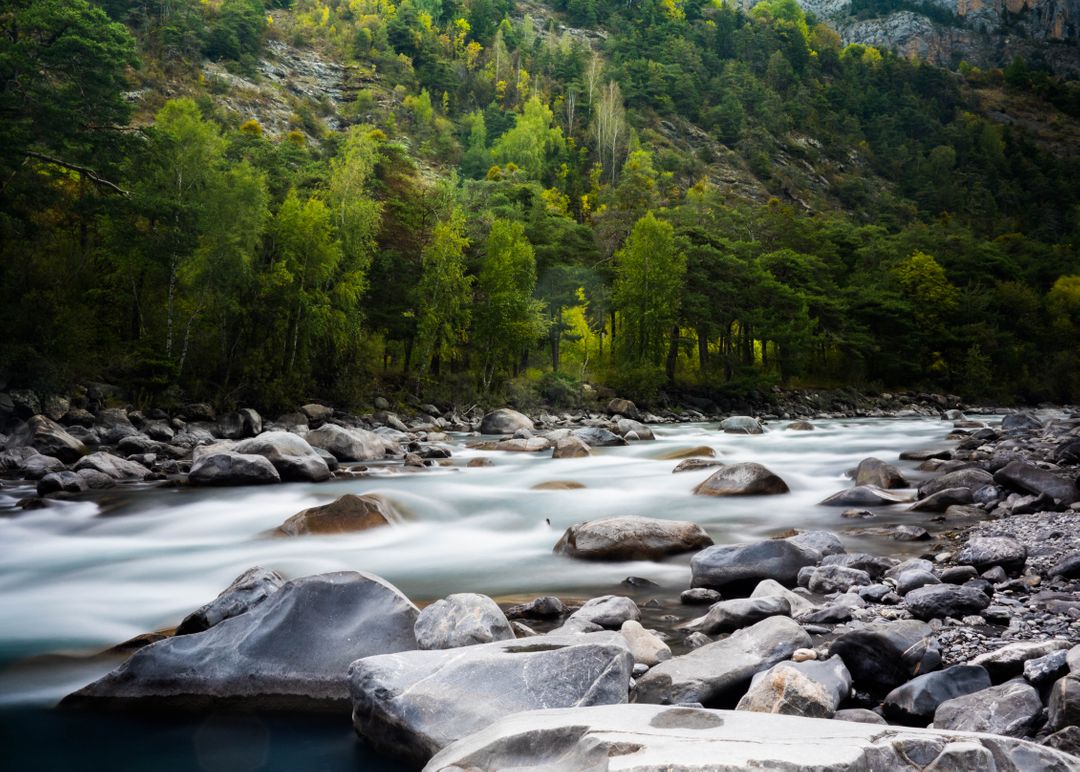 Time Lapse Photography of Rocky River Surrounded by Trees - Free Images, Stock Photos and Pictures on Pikwizard.com