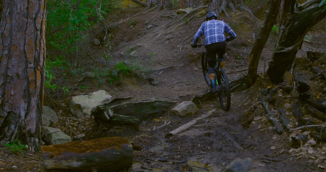 Mountain Biking Adventurer Navigating Forest Trail